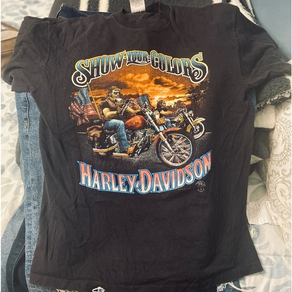 VINTAGE HARLEY DAVIDSON HOLOUBEK SHOW YOUR COLORS 1988 MADE IN USA TEE Large - Picture 2 of 6